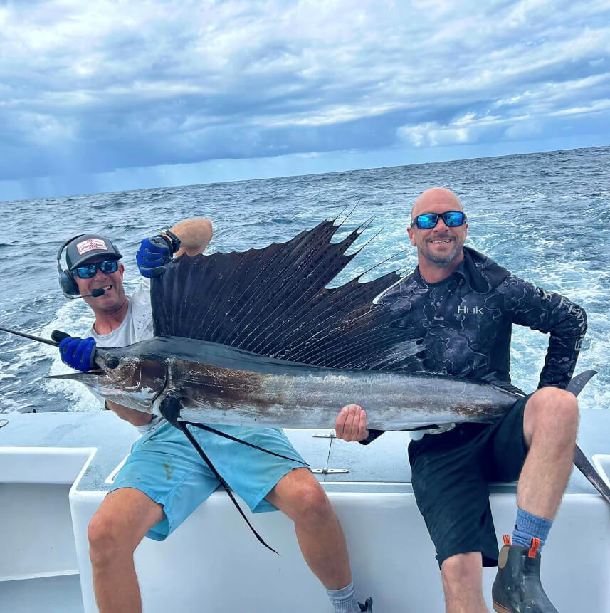Gulf Stream Sailfish caught on Reely Catchy Sportfishing.